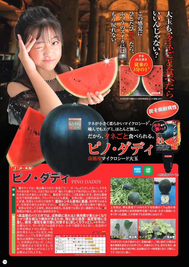 ３・茨城県・tomo・ピノガール ナント種苗総合カタログ2025