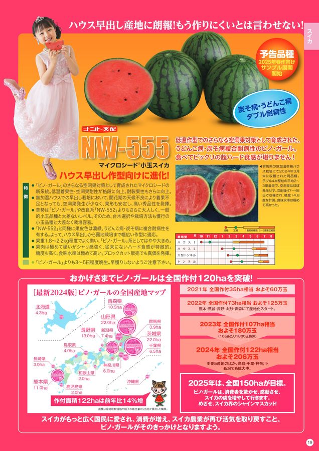 ３・茨城県・tomo・ピノガール ナント種苗総合カタログ2025