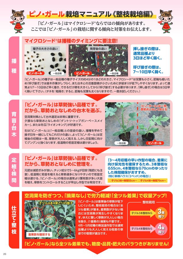 ２・・ソラス・ピノガール ステンドアート ジグソーパズル ぎゅっと266ピース 「恋する心の
