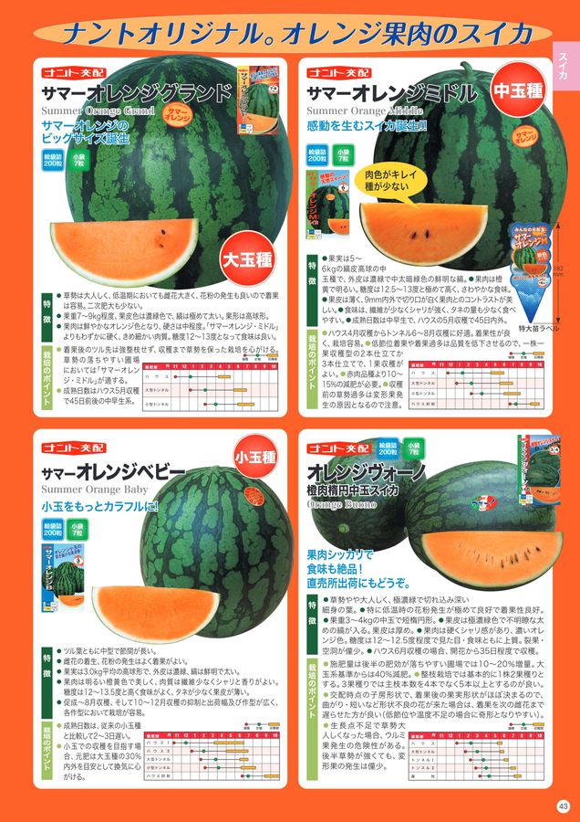 ナント種苗総合カタログ2025