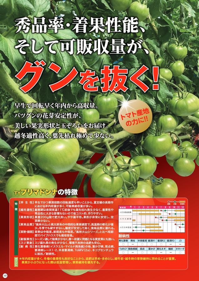 ナント種苗総合カタログ2025