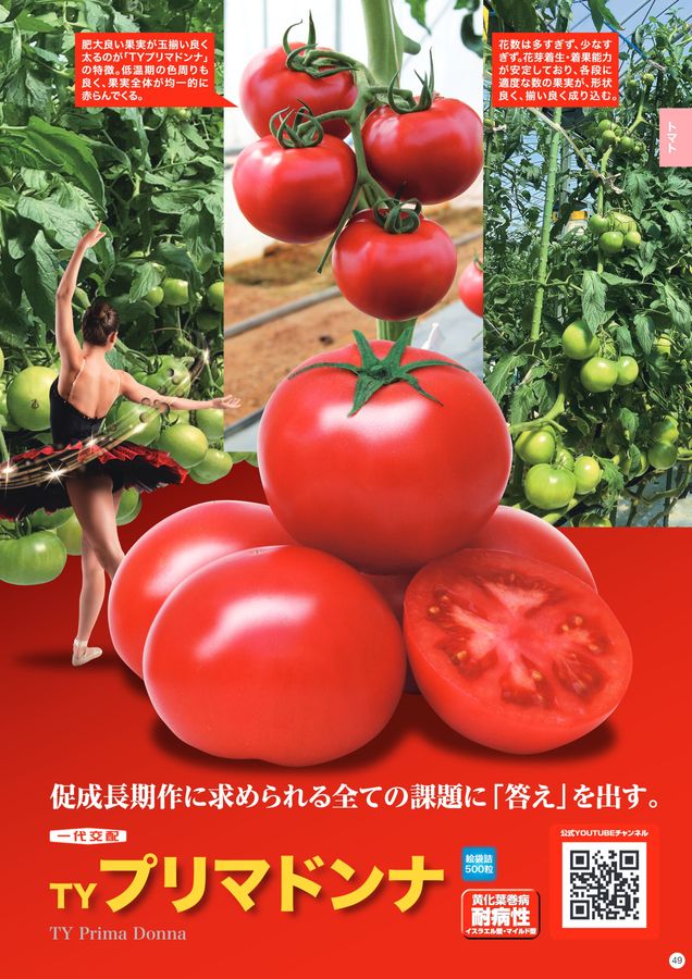 ナント種苗総合カタログ2025