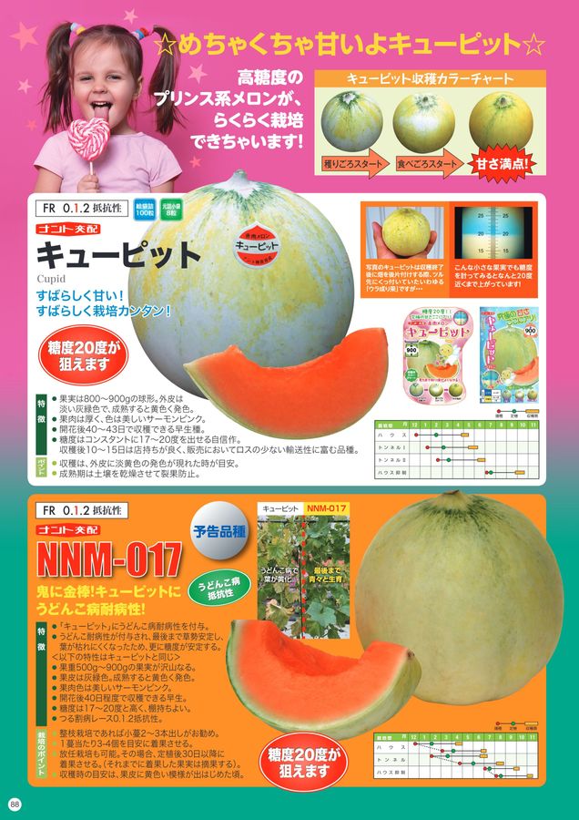 ナント種苗総合カタログ2025