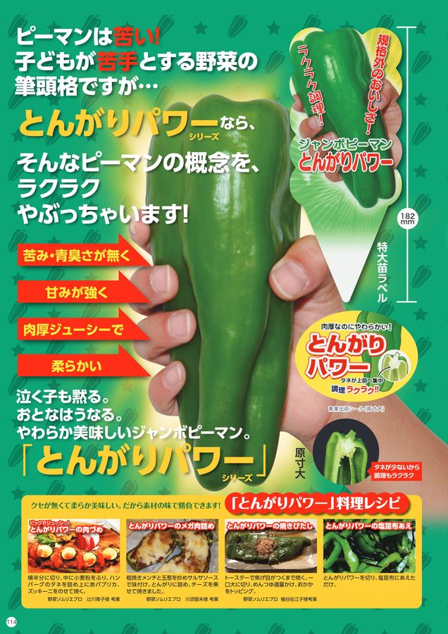 ナント種苗総合カタログ2025