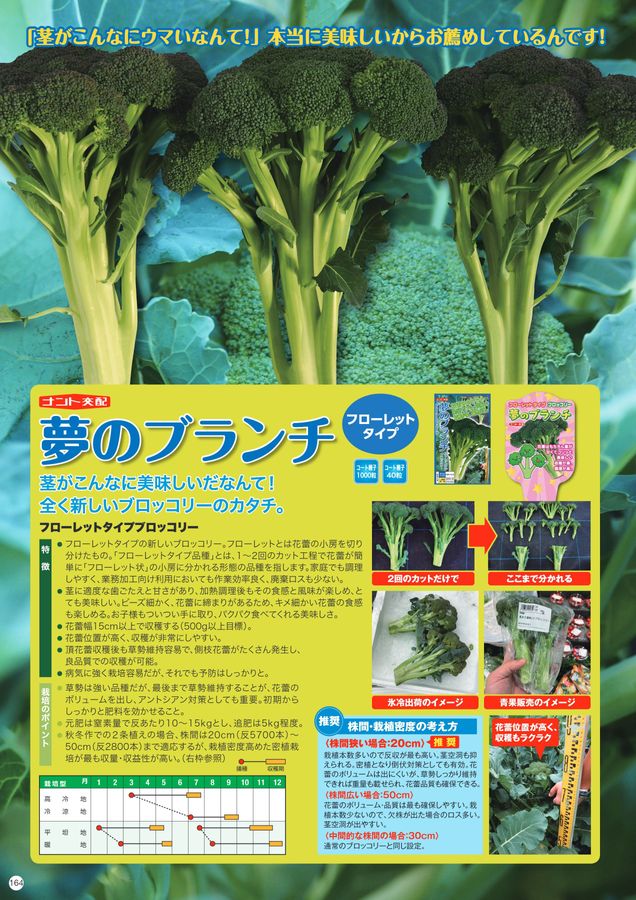 ぶろっこり　2着 ナント種苗総合カタログ2025